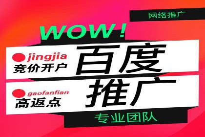 百度推广案例：精准营销助力企业增长